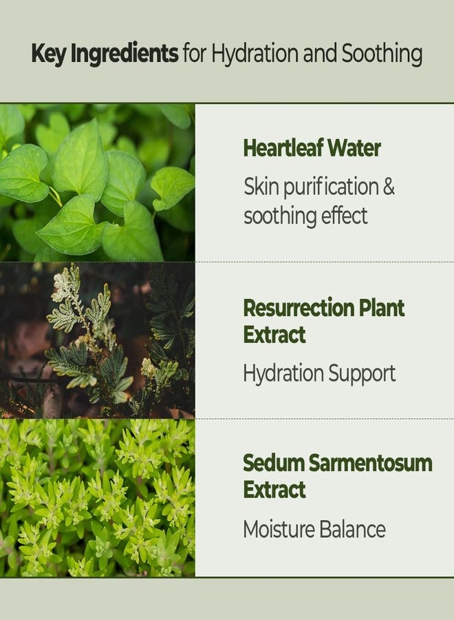 JMsolution Heartleaf 88 Moisture Toner Pad – 88% Houttuynia Cordata Extract – Soothing & Hydrating Facial Pads for Sensitive Skin – Daily Calming Texture Care & Gentle Exfoliation (70 Pads) - Image 5