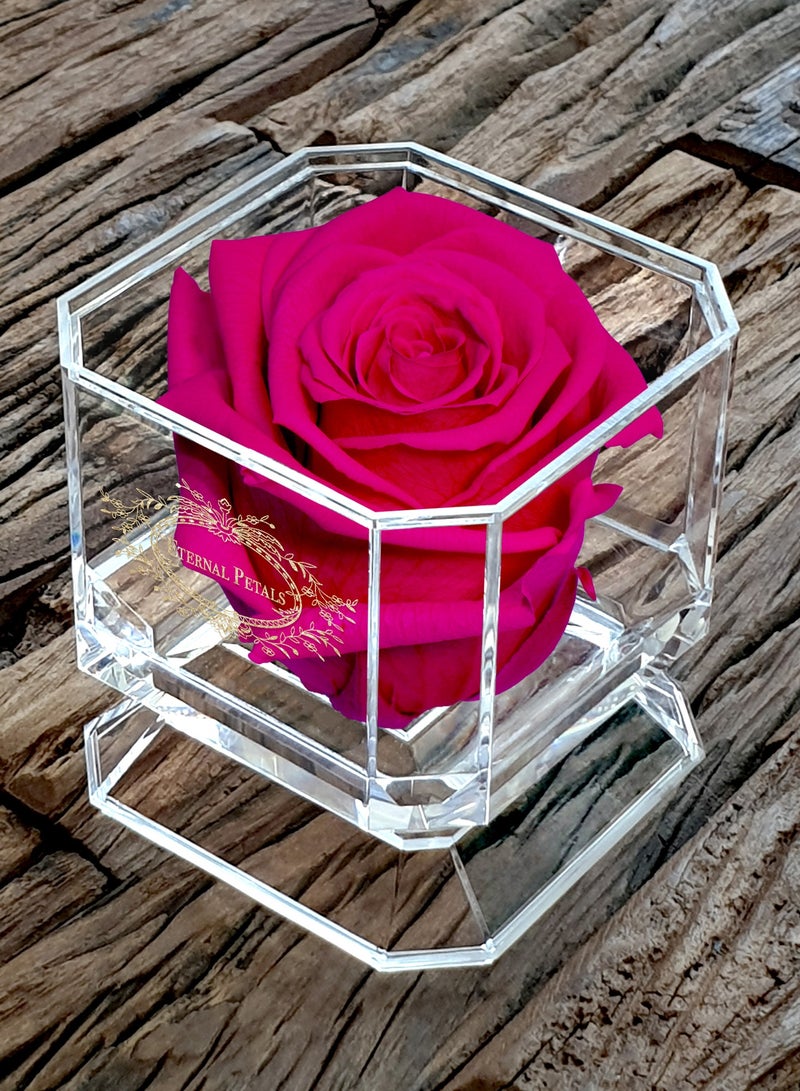 Eternal Petals, A 100% Real Rose That Lasts Years - Gold Solo (Hot Pink) - Image 3
