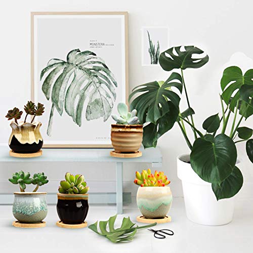 Brajttt 2.5 Inch Succulent Pot with Drainage,Planting/Flower Pots,Small Planter for Mini Plant Ceramic Flowing Glaze Base Serial Set with Holes - Image 4