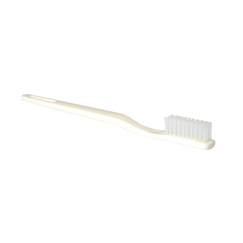 Box 24 Disposable Toothbrushes Individually Wrapped