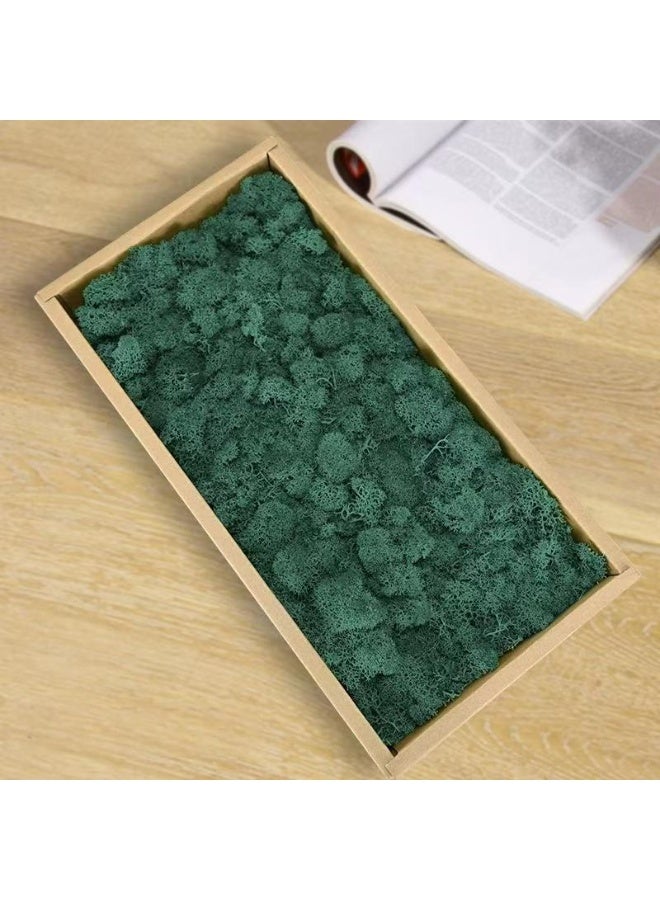 RYK-Natural Preserved Dried Reindeer Lichen Moss， Handmade, elegant moss wall decoration - zero maintenance, perfect for home, office, and wedding venues - Image 1