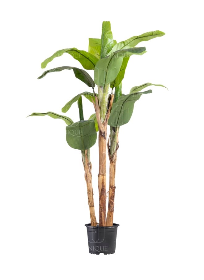 Unique Pots And Plants Banana Triple Loaf Stem Artificial Tree H200CM  - Image 1