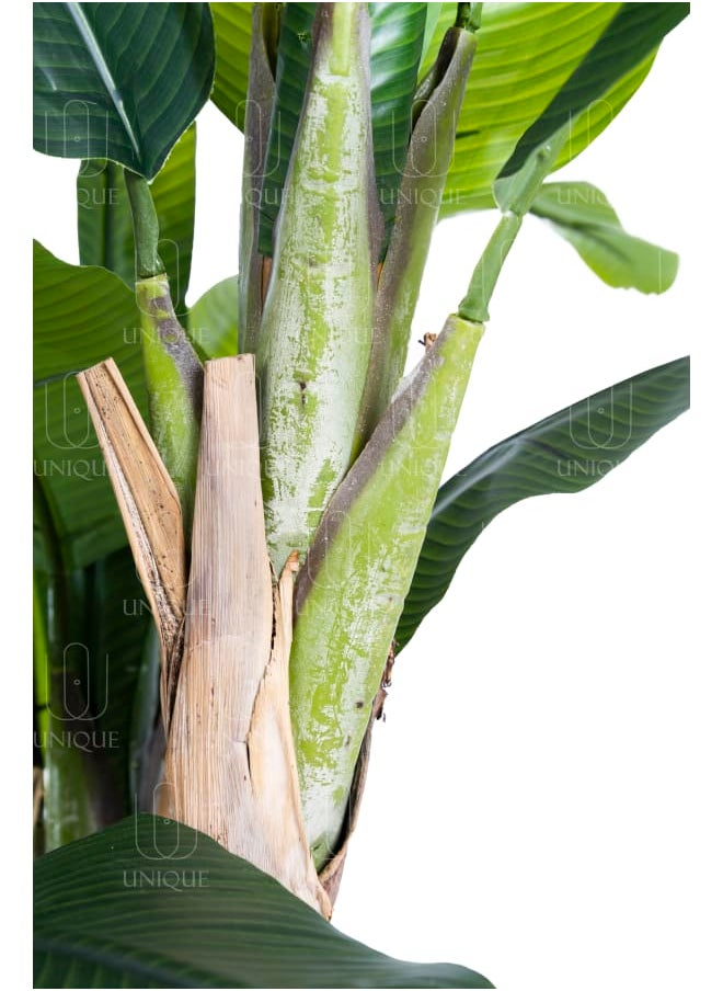 Unique Pots And Plants Banana Triple Loaf Stem Artificial Tree H200CM  - Image 3