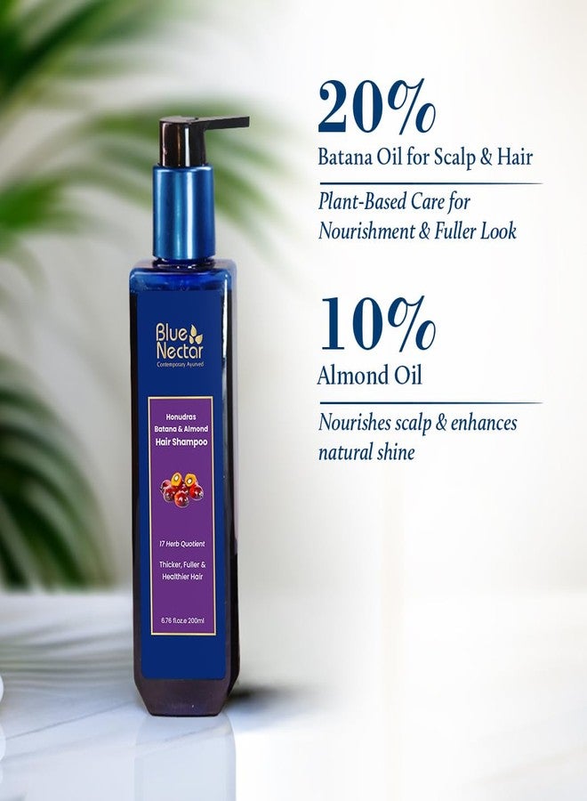 Blue Nectar Batana Hair Shampoo for Fuller & Stronger Hair | Organic Shampoo for Dry, Frizzy, Curly, and Wavy types | Redensyl Alternate | Shampoo for Women & Men (17 Herbs, 200ml) - Image 3