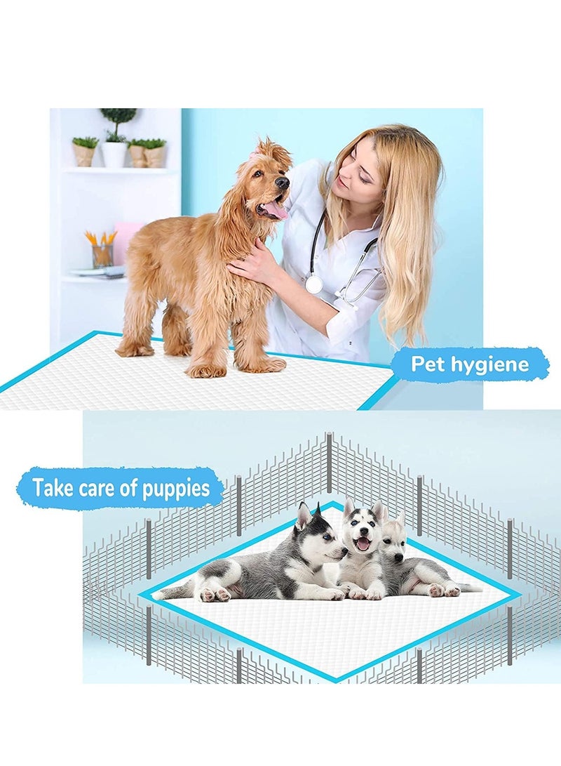 TYCOM Dog and Puppy Training Pads 40 Pack Disposable Dog Pee Pads Ultra Absorbent and Leak Proof Pet Underpads Dry Quickly Pee Pad for Dog Cats Rabbits or Other House Training Pets 60 By 60 CM. - Image 4