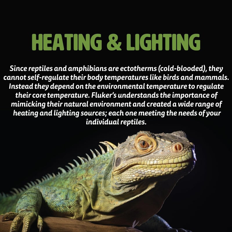 Fluker's 8.5-Inch Repta-Clamp Lamp with Dimmable Switch for Reptiles - Image 5