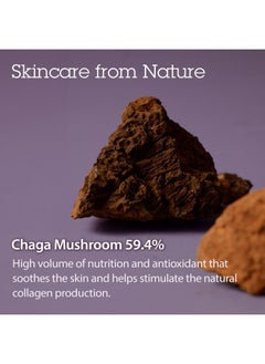 Blithe Pressed Serum Chaga Mushroom Advanced Skin Tightening Cream For Face Face Tightening And Lifting Formula For A Natural Face Lift 0.91 Fl Oz  - Image 5