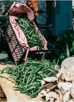 GGOOT Bean Plug Plants "Grow Your Own" Fruit from Our Premium Quality 'Ready to Plant Now' Young Vegetable Plants Pick from Broad, Runner, French Climbing Beans & Mixed Pack Available (3  - Image 2