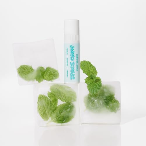 Space Camp Wellness Jumbo Lip Balm - Frosted Mint Organic Flavored Balm (2 Pack) - Image 2