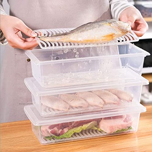 MosQuick®- Set of 2 Food Container for Fridge Storage Set with Removable Drain Plate and Lid, Multi-purpose Freeze Storage Box Container, Ideal for Vegetable Storage, Easy-to-Clean Fridge Container - Image 5