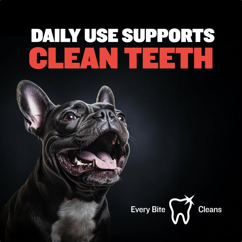 Bully Max Chew Ring Toy Long Lasting Dog Chew Toy for Power Chewers, Big Dogs, & Pit Bulls. Improves Mental Health, Keeps Dogs Busy for Hours. - Image 3