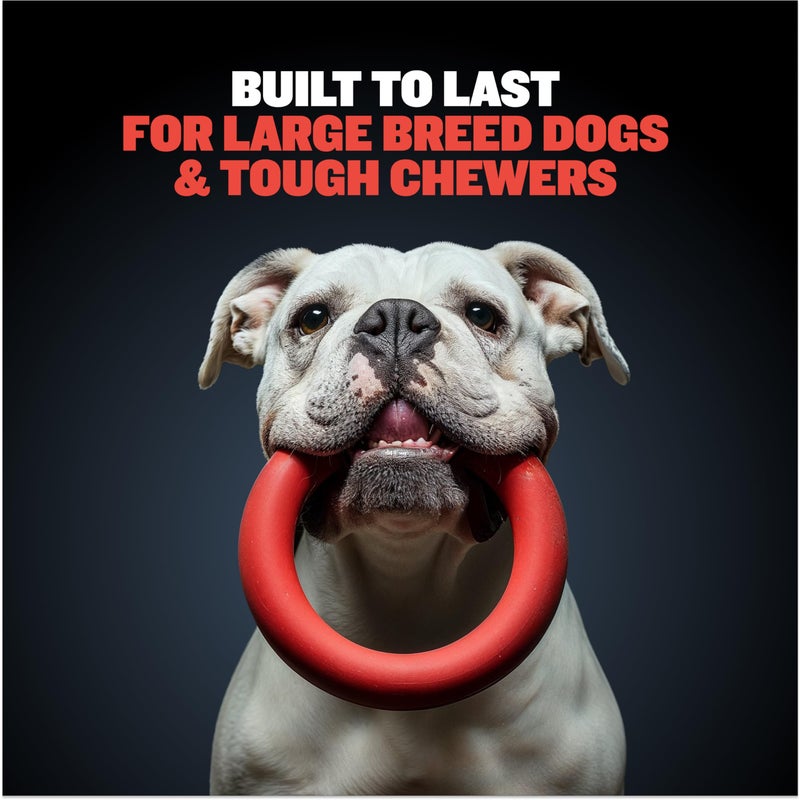 Bully Max Chew Ring Toy Long Lasting Dog Chew Toy for Power Chewers, Big Dogs, & Pit Bulls. Improves Mental Health, Keeps Dogs Busy for Hours. - Image 2