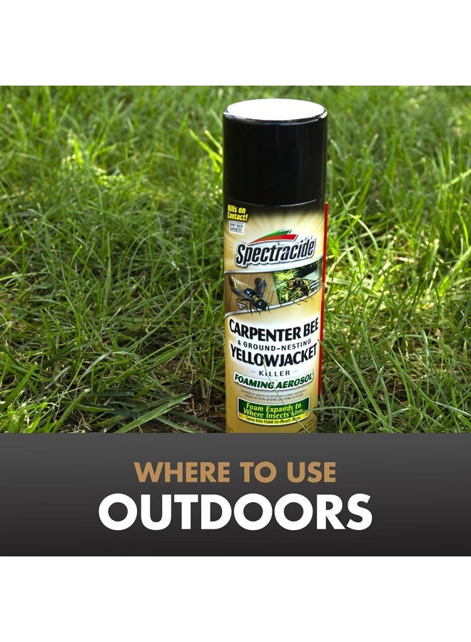 Spectracide Carpenter Bee And Ground-Nesting Yellowjacket Killer Foaming Aerosol 16 Ounces, Expands To Where Insects Live - Image 3