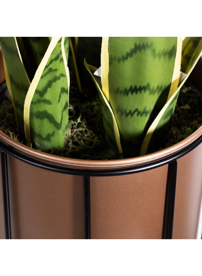 E.V.A Tudor Tan Planter - Image 5