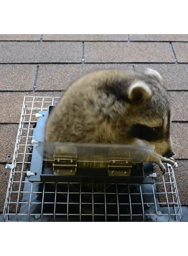 GROWLING Raccoon One Way Door – Large Size, Humane, Contactless Animal Excluder Trap – Raccoon One Way Eviction Door, Easy to Install & Weather-Resistant, Ideal for Squirrels, Skunks, Possums - Image 4