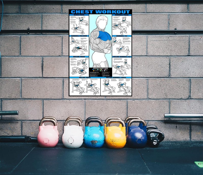 PIXELARTZ ملصق حائط صدر تحفيزي تمارين ورسم توضيحي كمال الأجسام ملصقات صالة الألعاب الرياضية بجودة HD للمنزل، المكتب، الغرفة، جدار الصالة الرياضية - متعدد الألوان (601) - Image 4