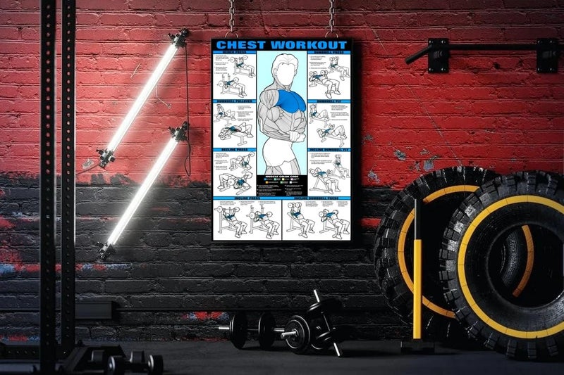 PIXELARTZ ملصق حائط صدر تحفيزي تمارين ورسم توضيحي كمال الأجسام ملصقات صالة الألعاب الرياضية بجودة HD للمنزل، المكتب، الغرفة، جدار الصالة الرياضية - متعدد الألوان (601) - Image 2