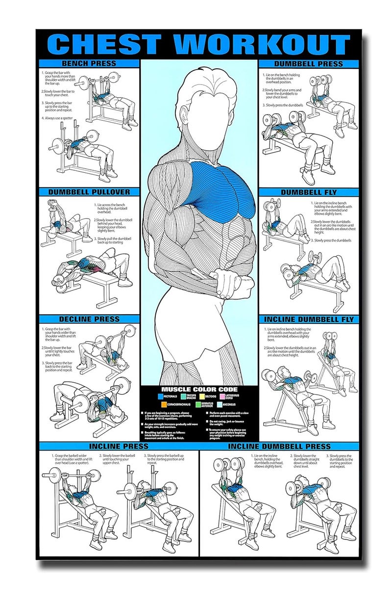 PIXELARTZ ملصق حائط صدر تحفيزي تمارين ورسم توضيحي كمال الأجسام ملصقات صالة الألعاب الرياضية بجودة HD للمنزل، المكتب، الغرفة، جدار الصالة الرياضية - متعدد الألوان (601) - Image 1