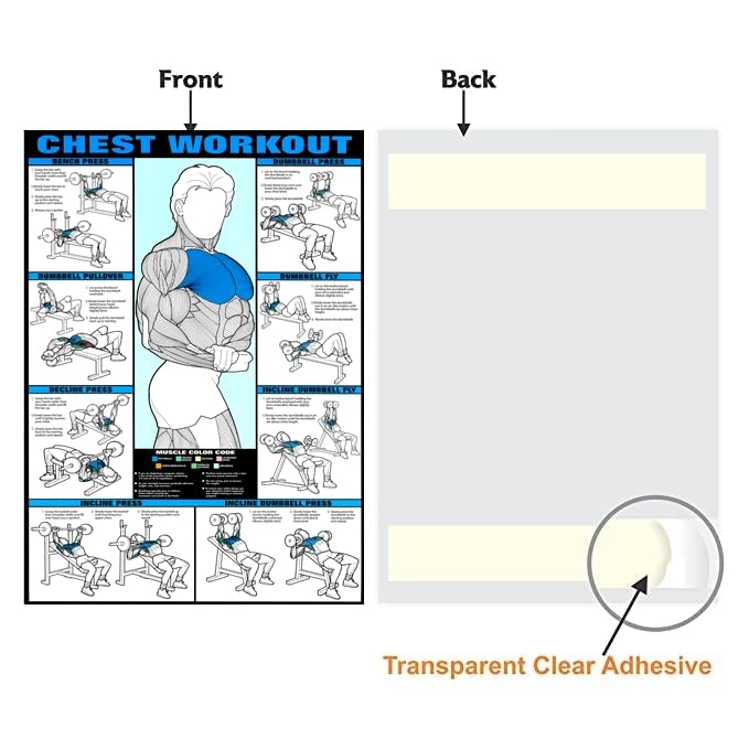 PIXELARTZ ملصق حائط صدر تحفيزي تمارين ورسم توضيحي كمال الأجسام ملصقات صالة الألعاب الرياضية بجودة HD للمنزل، المكتب، الغرفة، جدار الصالة الرياضية - متعدد الألوان (601) - Image 5