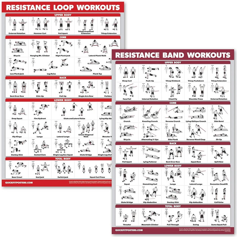 Palace Learning QUICKFIT 2 Pack - Resistance Bands and Resistance Loops Workout Posters - Set of 2 LAMINATED Charts - Resistance Band Tubes and Loops Exercise Charts (Laminated, 18" x 24") - Image 1