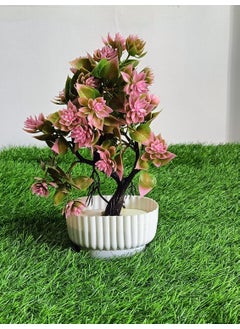 FIVE SEASONS FIVE SEASONS Artificial Potted Plant with Plastic Pot Decorative Showpiece Mini Potted Plants for Home Office Decoration Table Decor Vase with Artificial Plant Crimpson Pink  - Image 4