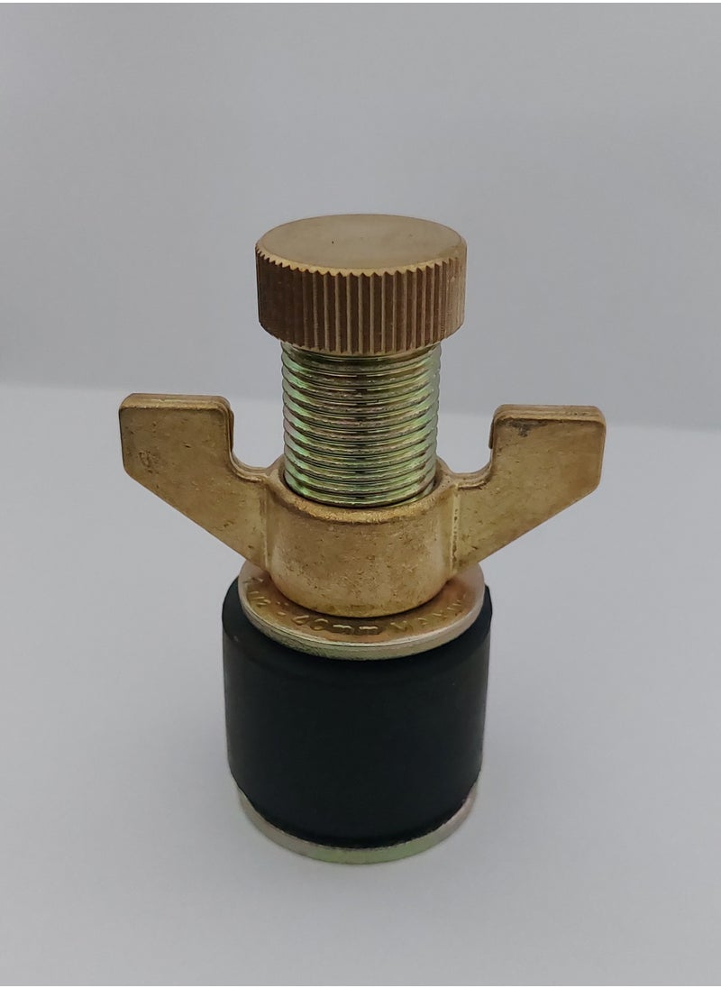 MAXWELL Drain Test Plug 1 ½ Inch (40 Mm) With Brass Cap And Brass Wing Nut - pzsku/ZA1E7FA48A2B6731AFA9AZ/45/_/1695134181/e1d4dd0b-1aa0-42bb-8c2d-4b68e2b6bbb5