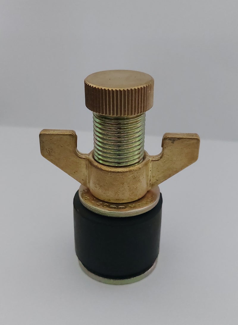 MAXWELL Drain Test Plug 1 ½ Inch (40 Mm) With Brass Cap And Brass Wing Nut - Image 1