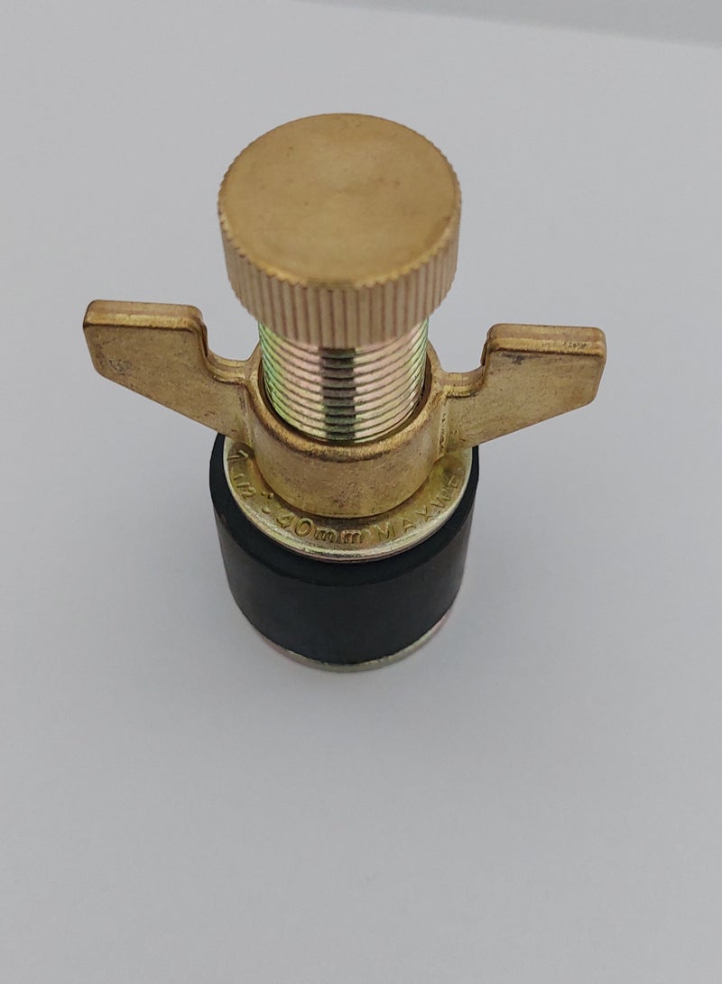 MAXWELL Drain Test Plug 1 ½ Inch (40 Mm) With Brass Cap And Brass Wing Nut - Image 3