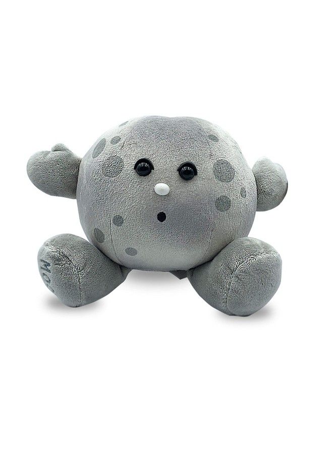 Celestial Buddies Moon Buddy Learning Science Astronomy Space Solar System Educational Plush Blue Planet Toys - Image 2