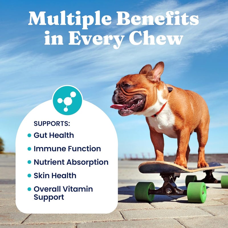 solid gold Dog Multivitamin - Soft Dog Vitamins & Supplements Chews - All-in-One Heart, Immune, Brain, Skin, Coat & Gut Health Support w/Vitamin C, B12, Probiotics & Antioxidants - Bacon Flavor 120ct - Image 4