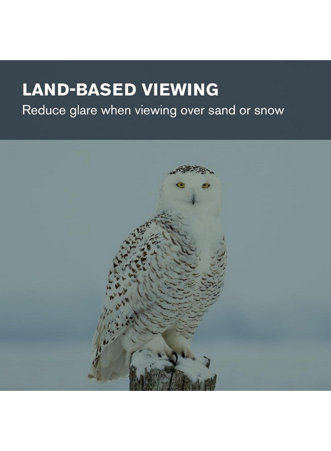 Celestron - Telescope Moon Filter - Eyepiece Accessory - Reduces Moon Glare and Enhances Lunar Crater Details - Great for Full Moon Observing - Works with Any Telescope That Accepts 1.25" Eyepieces - Image 3