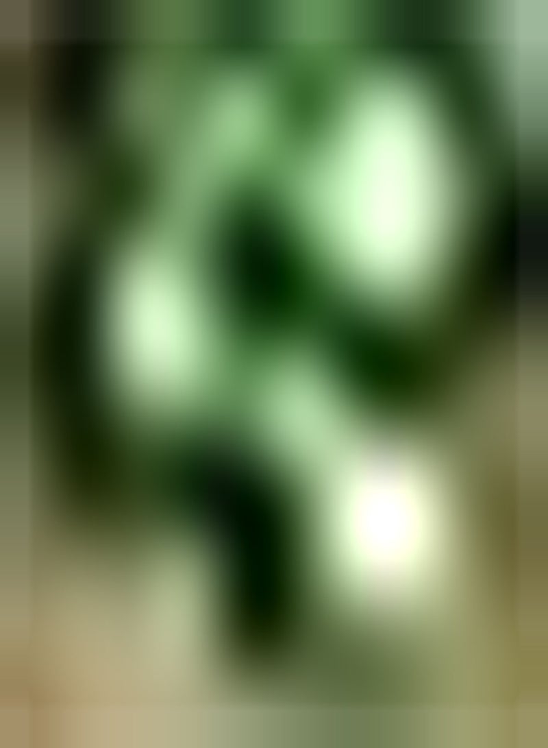 جي جوت 50 قطعة من كوسة من النوع الأفضل من أجل حديقة Gemüseanbau im Garten مجموعة جذابة من أصناف الجوز من Nutzpflanzen die bei Familienmitgliedern beliebt sind - Image 1