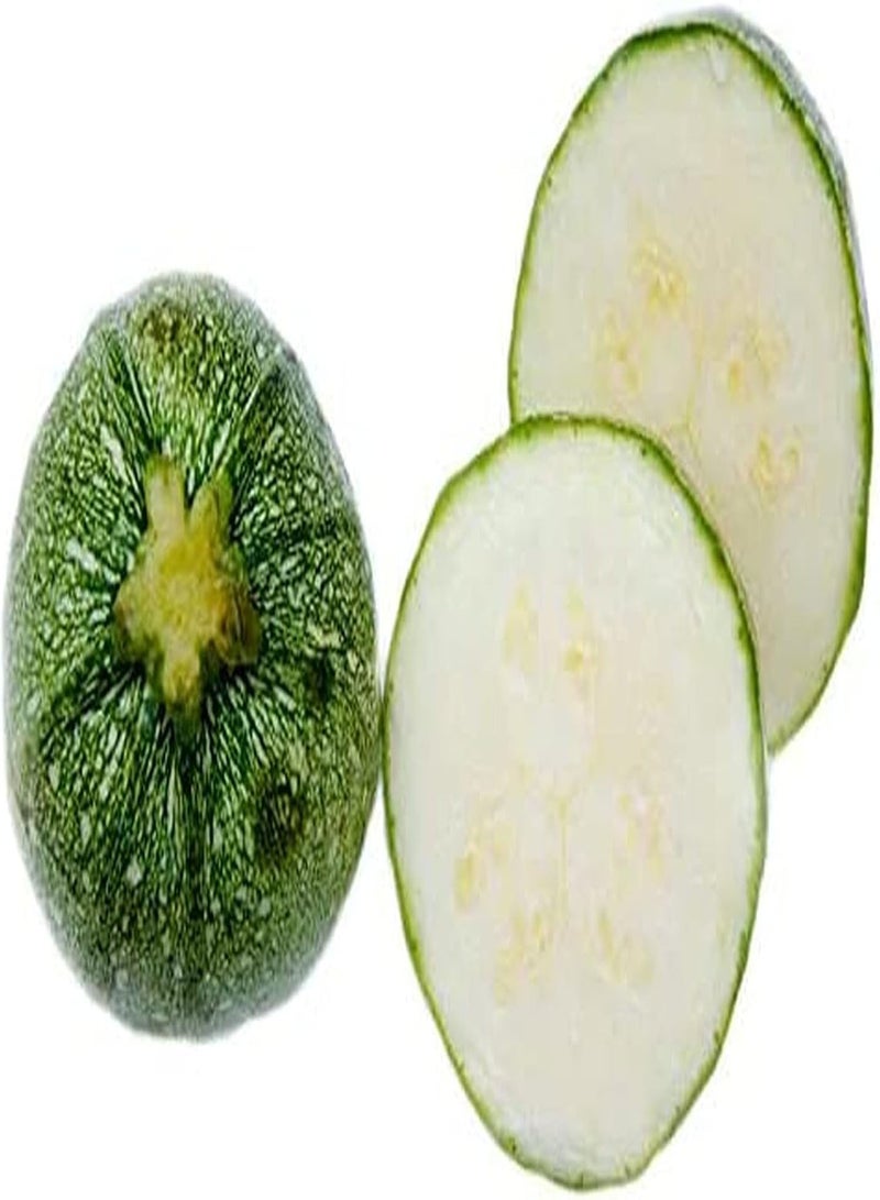 جي جوت 50 قطعة من كوسة من النوع الأفضل من أجل حديقة Gemüseanbau im Garten مجموعة جذابة من أصناف الجوز من Nutzpflanzen die bei Familienmitgliedern beliebt sind - Image 2