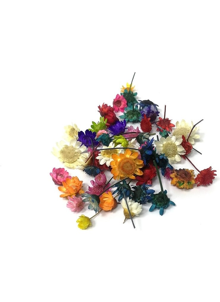 Mini Dried Flowers - Mix - pzsku/ZA1EB3FFFFA950F52852FZ/45/_/1731205555/3f98ae42-7d3a-4109-aa5d-939a8ee5cf30