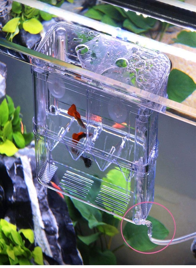 Tiberham Acrylic Floating Fish Hatchery, Double Layer Fry Hatching Incubator Breeder Box for Aquarium Tank, Safe House for Fish Parenting - Image 4