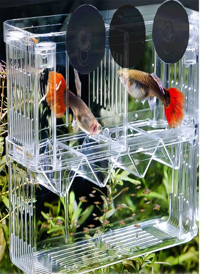 Tiberham Acrylic Floating Fish Hatchery, Double Layer Fry Hatching Incubator Breeder Box for Aquarium Tank, Safe House for Fish Parenting - Image 3