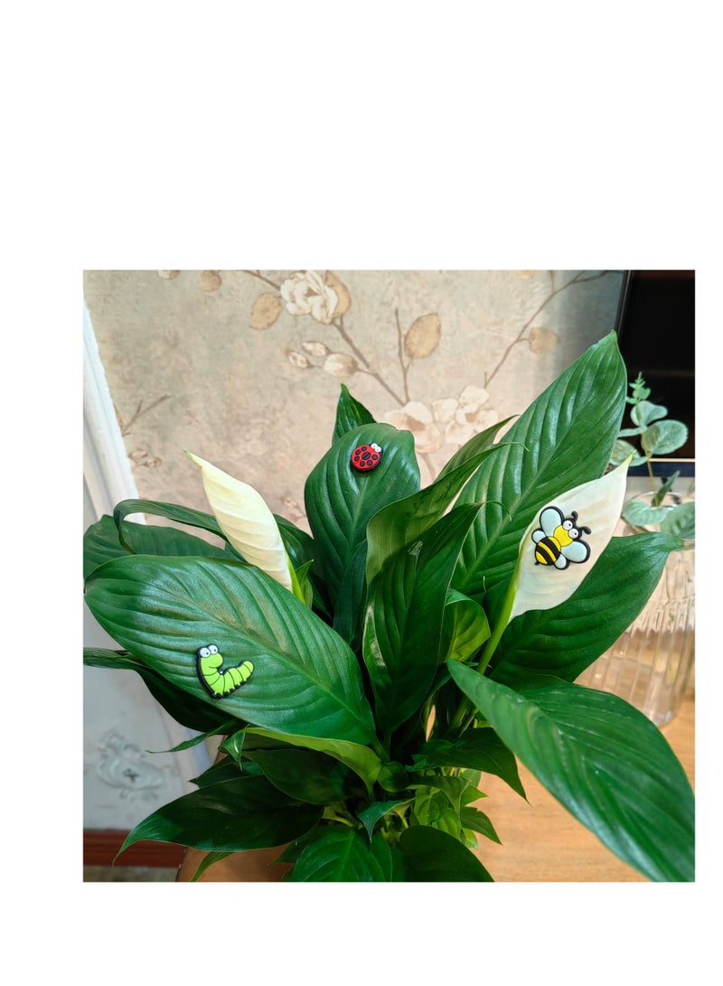 SOLARAE Plant Magnets Eyes for Potted Plants, 6 Pcs Plant Safe Magnet Pins Charms, Indoor Plant Accessories, Unique Gifts for Plant Lovers - Image 3