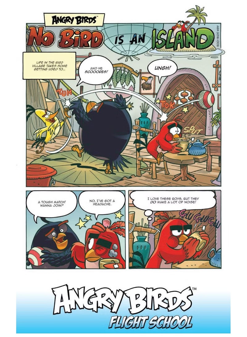 Angry Birds Flight School #2 - Image 2