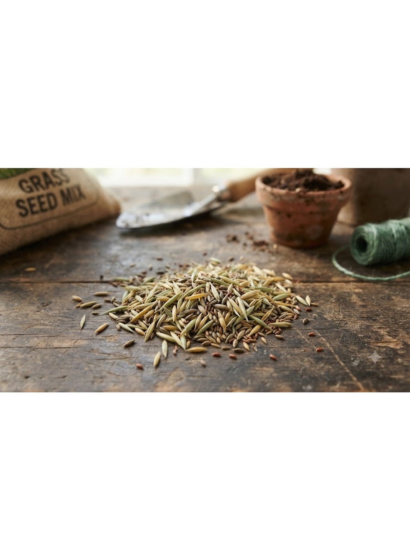 Franchi Grass Seeds - Image 3