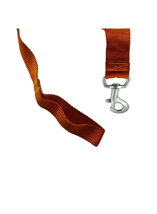 دي آي واي كرافتس مجموعة من قطعة واحدة، برتقالية اللون، سلسلة حزام طوق ومقود للجراء والكلاب (مجموعة من قطعة واحدة، برتقالية اللون) - Image 4