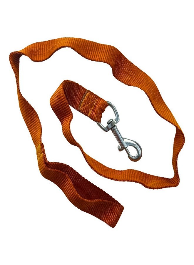 دي آي واي كرافتس مجموعة من قطعة واحدة، برتقالية اللون، سلسلة حزام طوق ومقود للجراء والكلاب (مجموعة من قطعة واحدة، برتقالية اللون) - Image 2