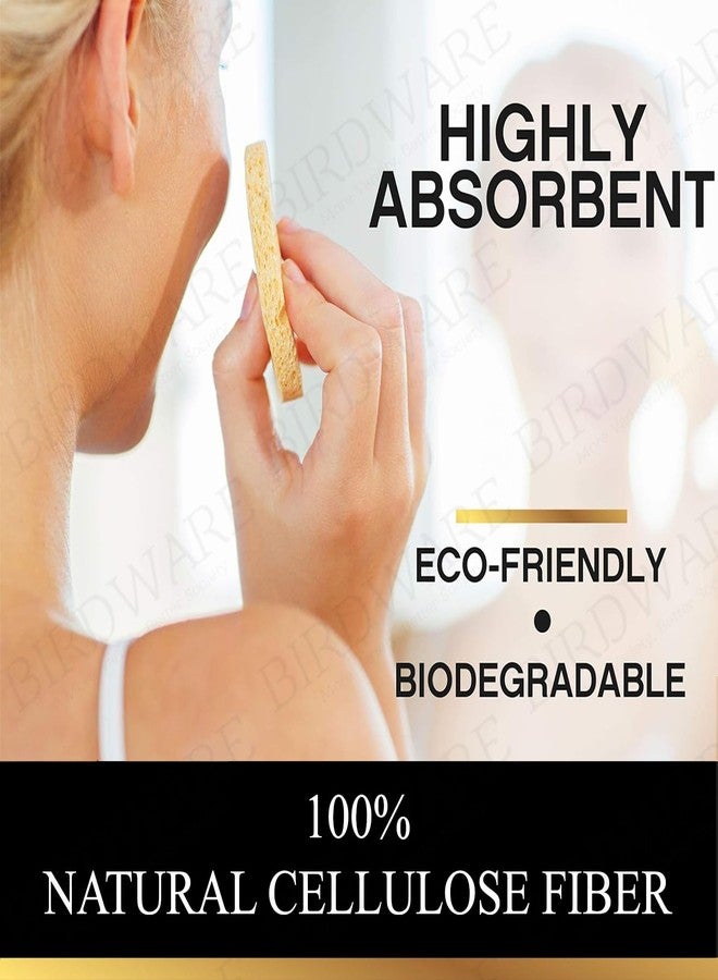 بيردوير 18 قطعة من السليلوز المضغوط الطبيعي، إسفنجات سبا تجميلية طبيعية 100% لتنظيف/تقشير الوجه، قناع تقشير، إزالة المكياج، ومنظف للبشرة (عادي - 10 سم، 18) - Image 2