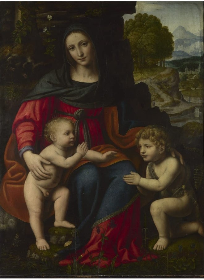 null - Overshadowed: Leonardo da Vinci and Bernardino Luini - Image 1