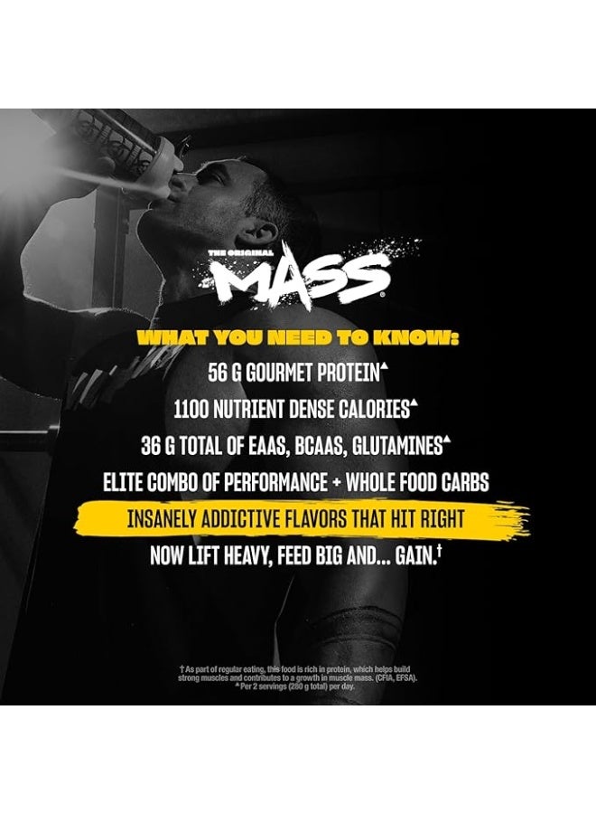 Mutant مسحوق بروتين MUTANT ماس وايت غاينر مع مزيج من بروتين مصل اللبن، المركز، والكازين، لاهتزازات التمارين عالية السعرات الحرارية، العصائر والمشروبات، 6.8 كجم (15 رطل) - شوكولاتة ثلاثية - Image 5