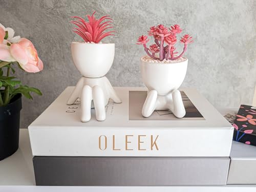 OLEEK Small Fake Plant Office Decor for Women - Pink Gifts for Women - Cute Office Decor - Pink Decor for Office Decorations - Succulents Fake Plants for Shelf Decor - Office Supplies - Image 3