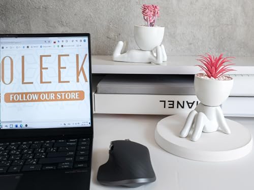 OLEEK Small Fake Plant Office Decor for Women - Pink Gifts for Women - Cute Office Decor - Pink Decor for Office Decorations - Succulents Fake Plants for Shelf Decor - Office Supplies - Image 5