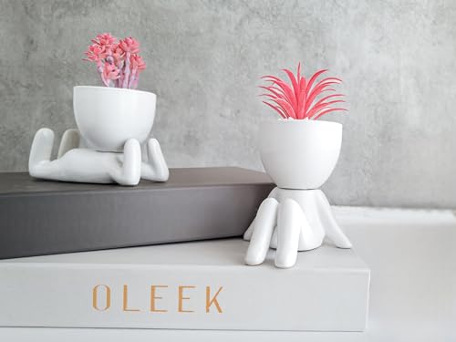 OLEEK Small Fake Plant Office Decor for Women - Pink Gifts for Women - Cute Office Decor - Pink Decor for Office Decorations - Succulents Fake Plants for Shelf Decor - Office Supplies - Image 2