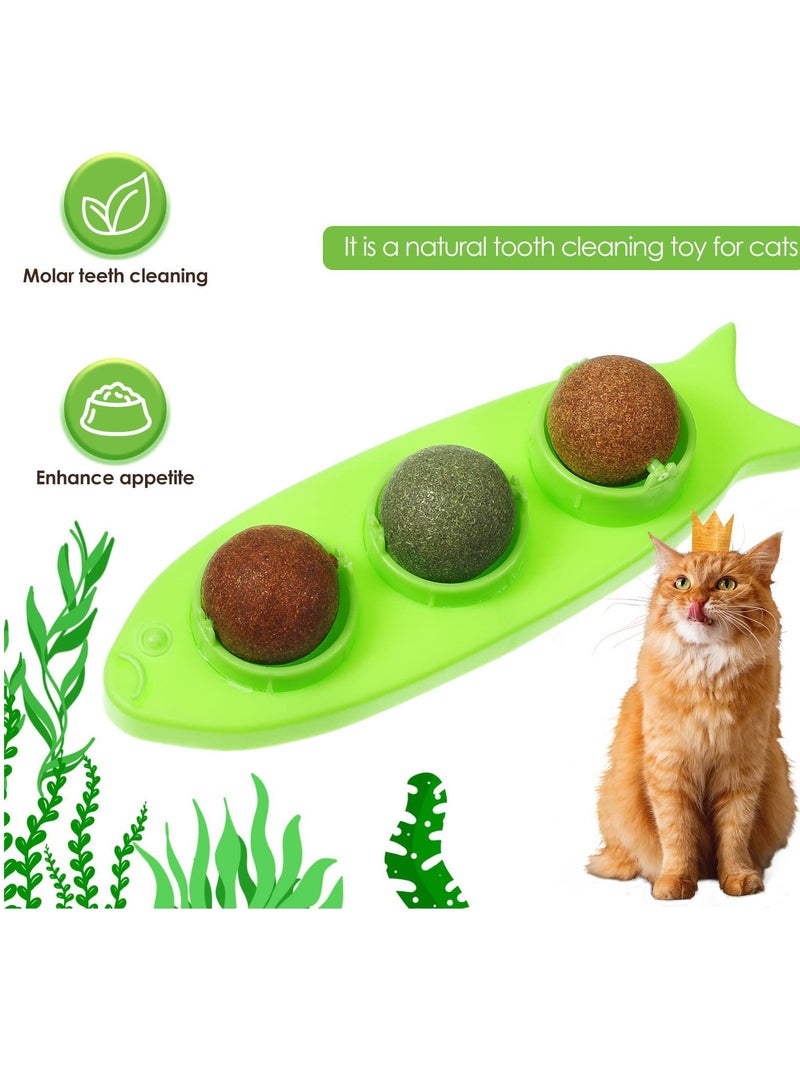 Catnip Wall Toys, 6 Pieces Detachable Silvervine Balls with 2 Fish Shaped Containers Rotatable Catnip Ball Cat Licking Ball Kitten Chew Dental Cat Wall Treats for Kitty Pet - Image 2