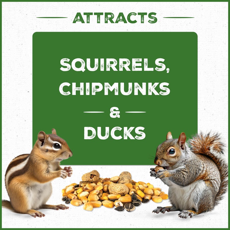 Pennington Pride Squirrel & Critter Blend With Corn, Sunflower Seeds and Peanuts, Helps Keep Critters Away From Bird Feeders, 10-lb. Bag - Image 4