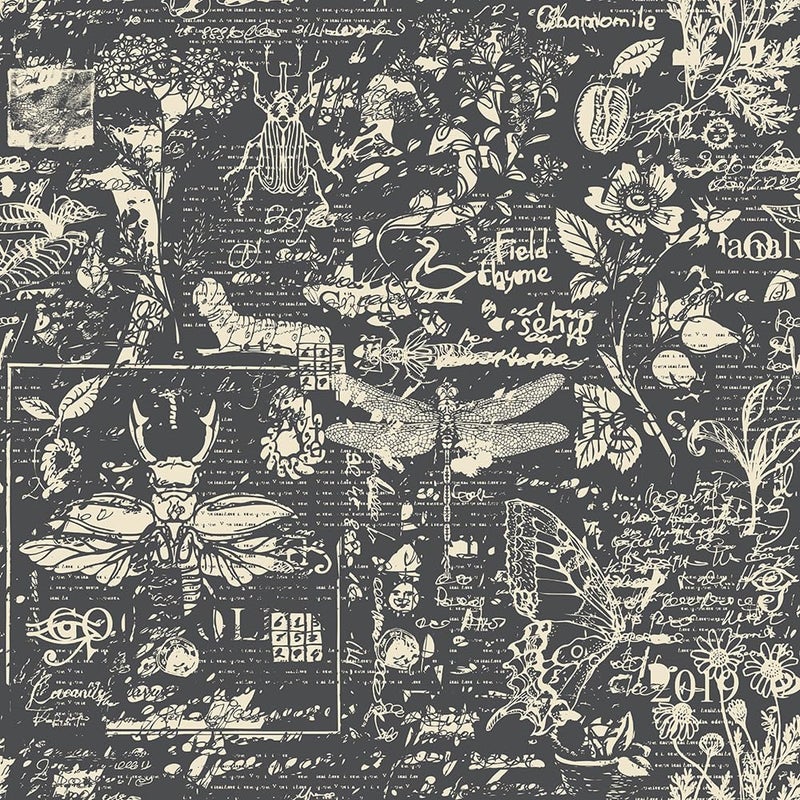 REDAMANCY Ash Black Grey Insects Animals Speimen Sketch Abstract Art Modern Peel and Stick Wallpaper Stick on Contact Paper Wall Paper Easy Peel Off for nightstand Drawer Cabinet Renter - Image 1